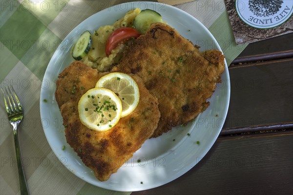 Wiener Schnitzel with potato salad on a plate