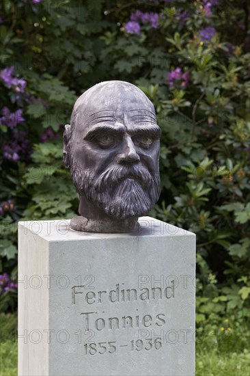 Ferdinand Toennies