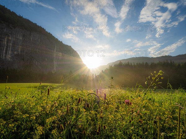 Morning atmosphere and sunrise