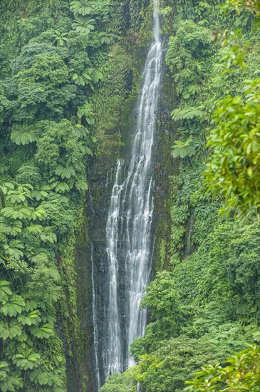 Papapapai-Tai Falls