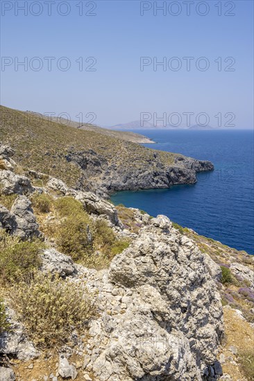 Dry landscape