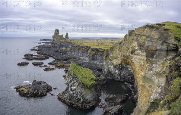 Breeding birds in the cliffs of Londrangar