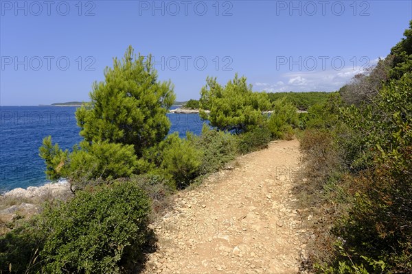 Hiking trail on the coast