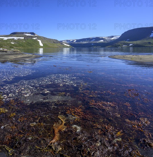 Shell Bay