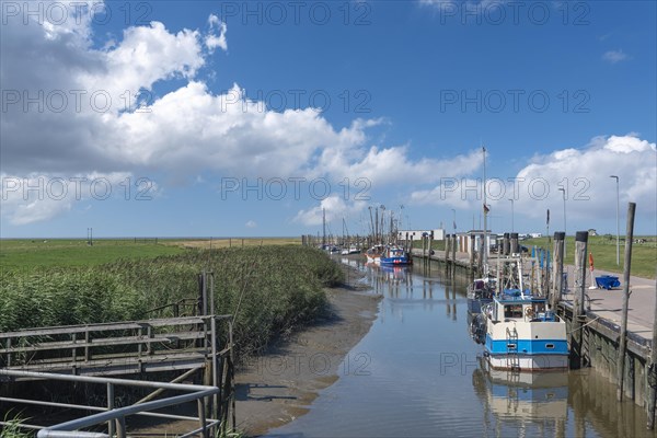 Kutterhafen