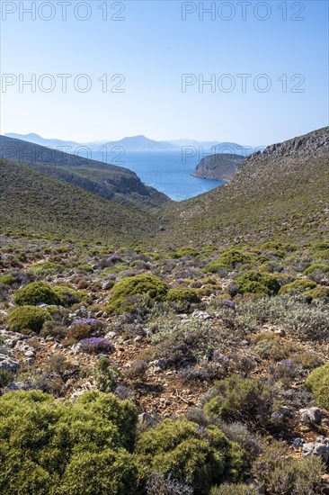 Coast and Sea