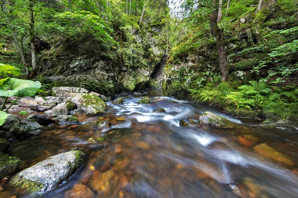 Haslachschlucht