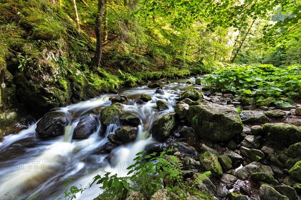 Haslach Gorge