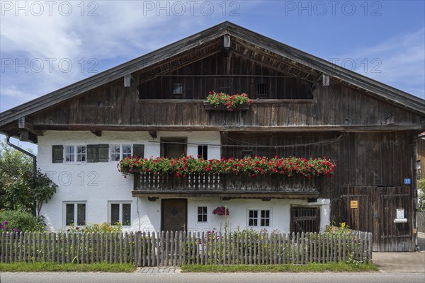 Old farm