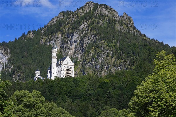 Neuschwanstein Castle