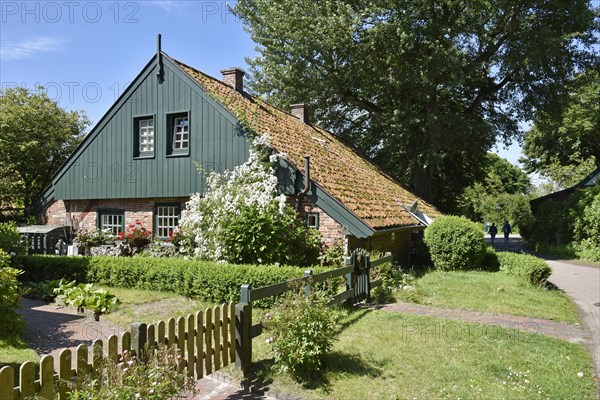 The Old Island House