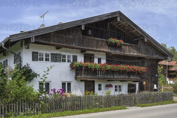 Old farm