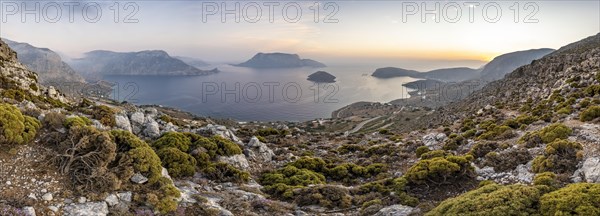 Panorama