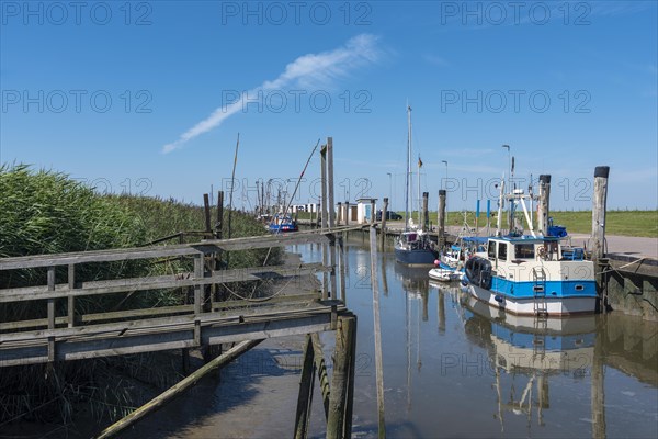 Kutterhafen