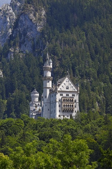 Neuschwanstein Castle
