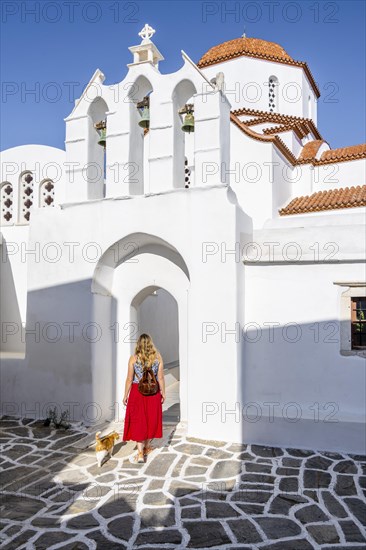 Cat and Young Woman with Red Dress in Walks into an Aisle