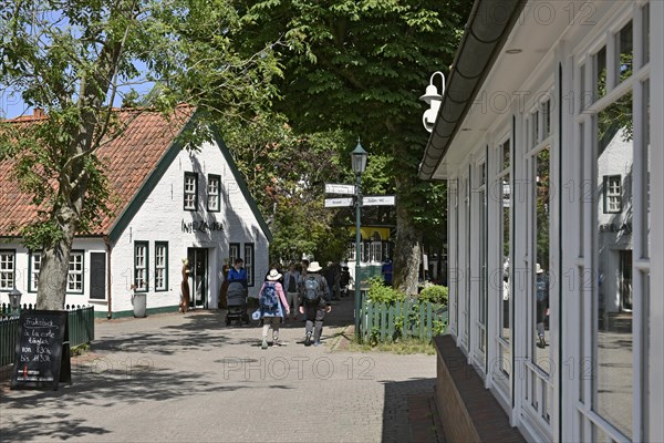 Crossing of Noorderloog and Noorderpad