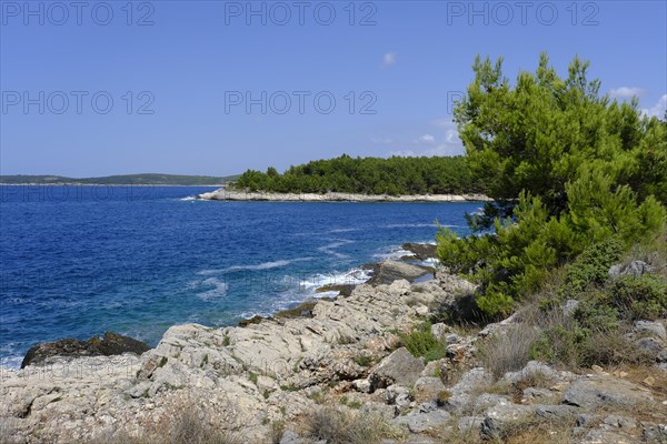 Coast