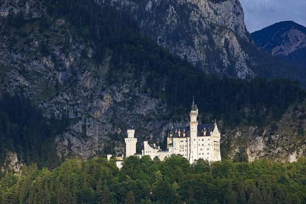 Neuschwanstein Castle in the evening light