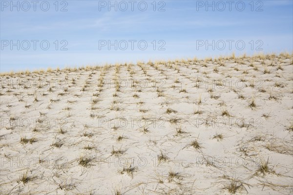 Sand dune