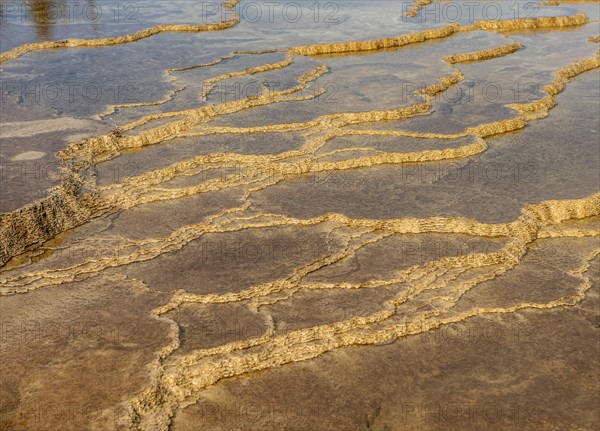 Sinter terraces
