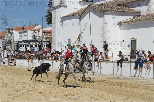Wild bulls run and are led by riders in the streets