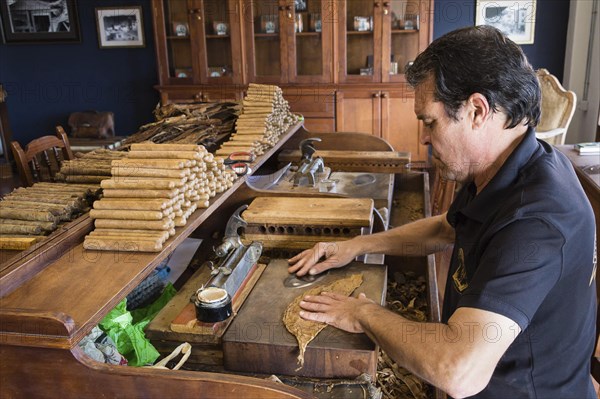 Cigar factory