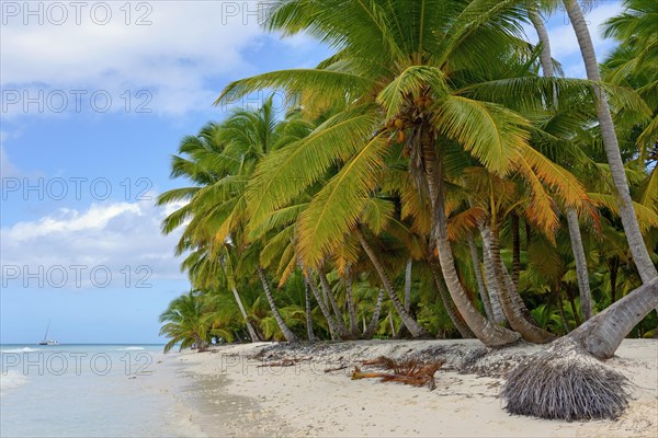 Palm Beach