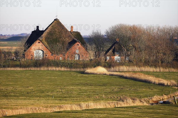 Historic Eiderstedter Haubarg