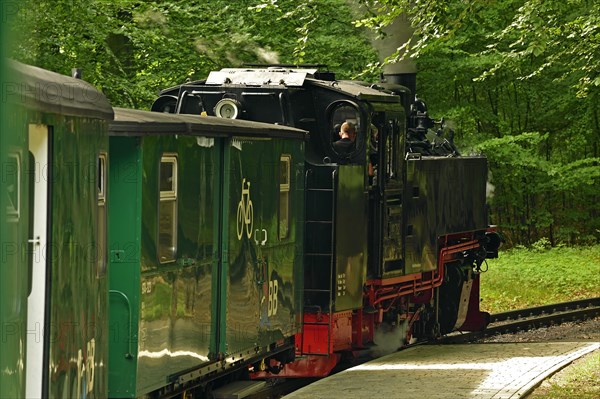 Narrow-gauge railway Rasender Roland