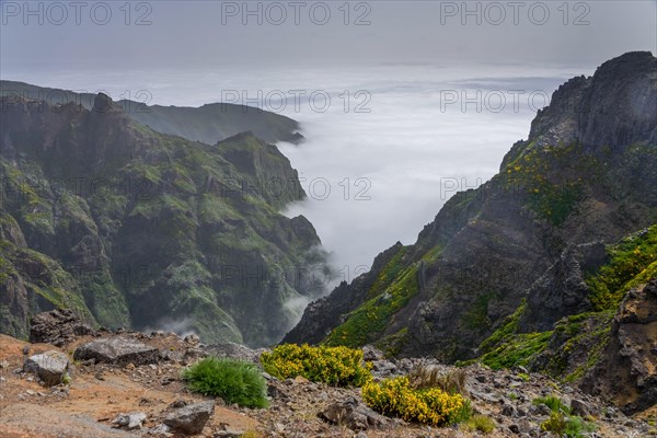 Aussichtspunkt Miradouro Ninho da (Manta)