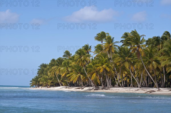 Palm Beach