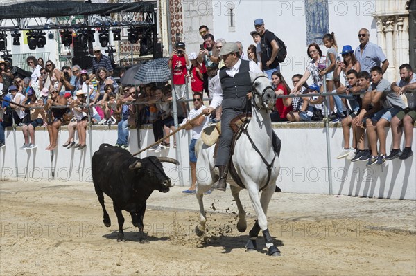 Wild bulls run and are led by riders in the streets