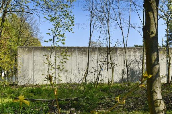 Wall