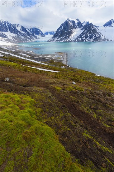 Magdalena Fjord