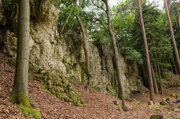 Rock formation Tuerkenfelsen