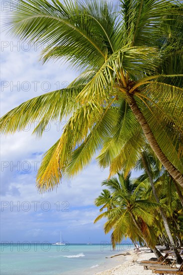 Palm Beach