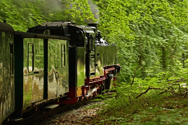 Narrow-gauge railway Rasender Roland