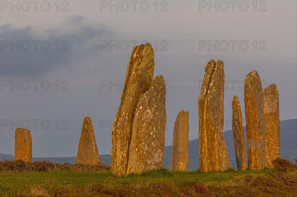 Stone circle of Brodgar