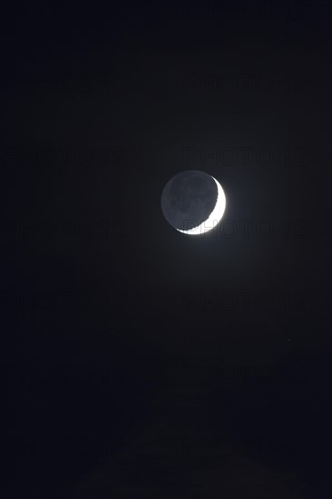 Ash grey moonlight