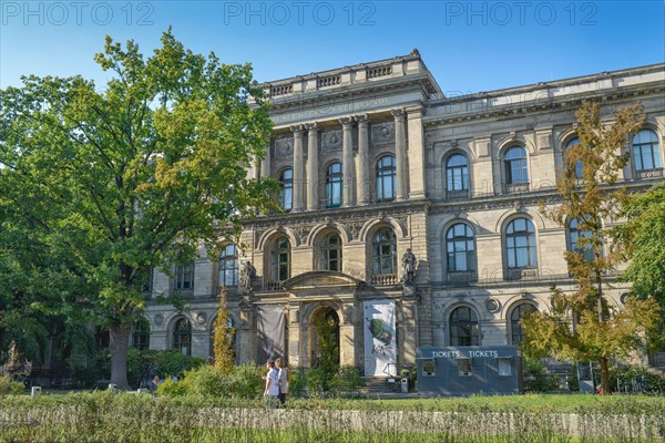 Museum of Natural History