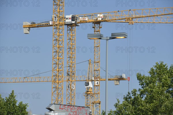 Cranes