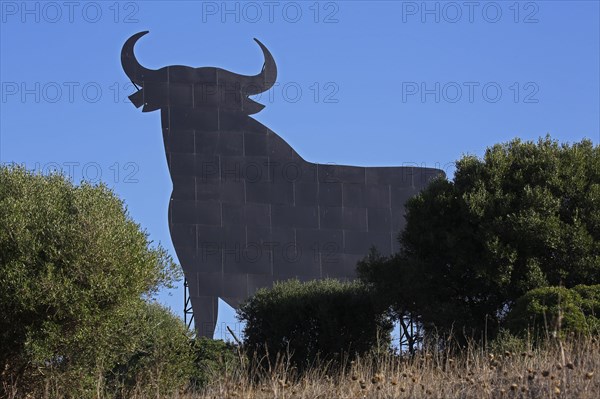 Bull silhouette