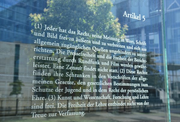 Article 5