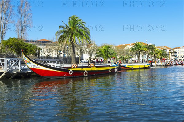 Moliceiros moored along the main canal