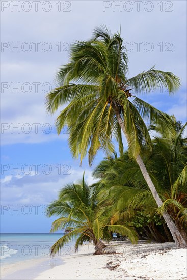 Palm Beach