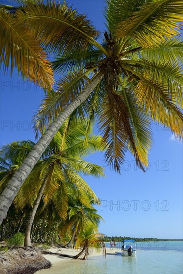 Palm Beach