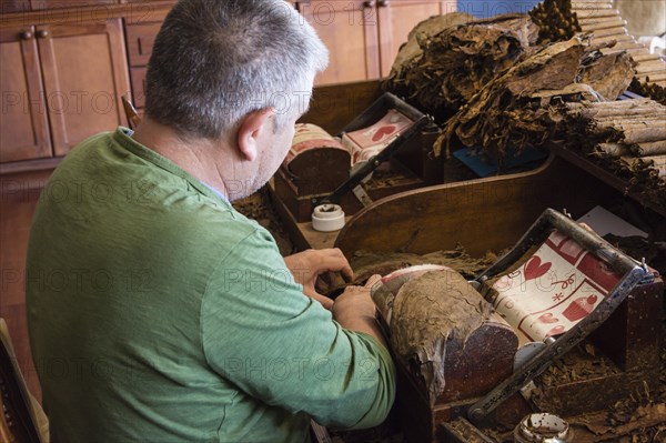 Cigar factory