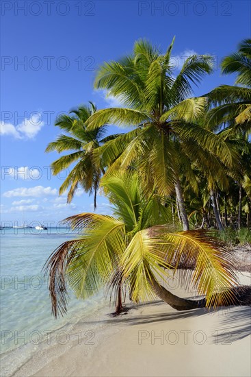 Palm Beach