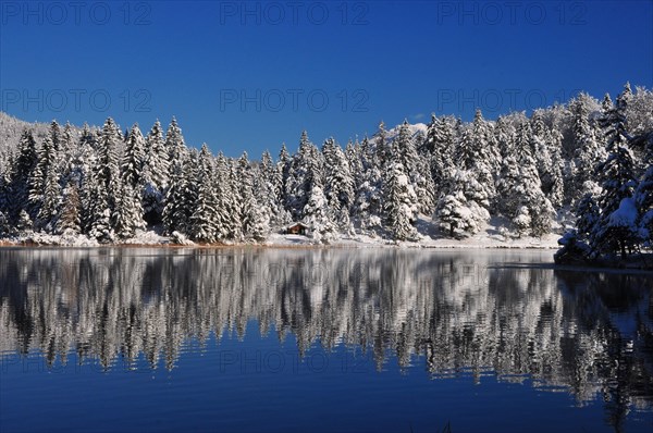 Lautersee